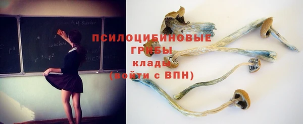 круглые Арсеньев