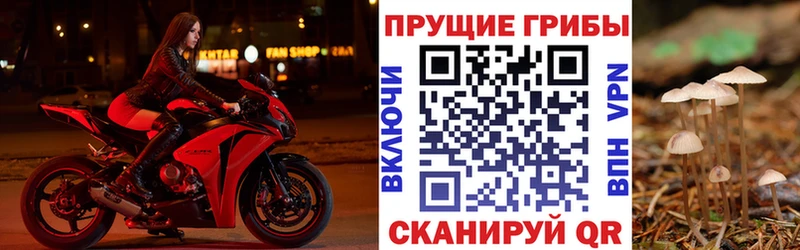 Псилоцибиновые грибы прущие грибы Ростов