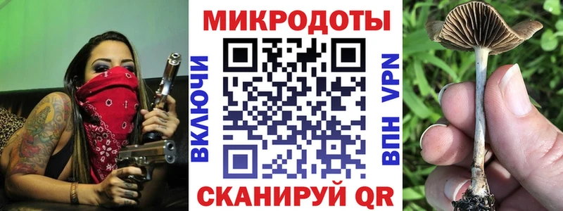 Галлюциногенные грибы MAGIC MUSHROOMS  сколько стоит  Ростов 